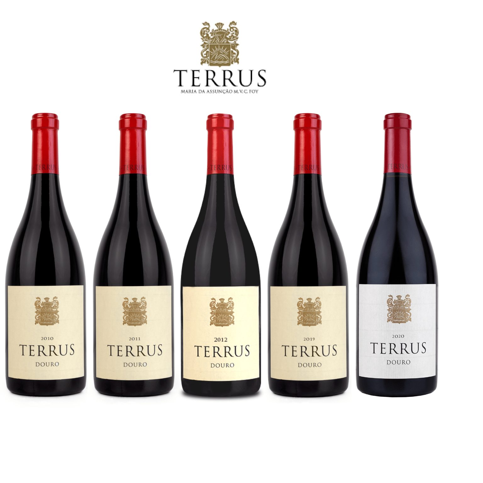 Vertical of 5 Terrus Wines